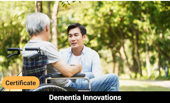 Two people talking outdoors in a park, one seated in a wheelchair, representing dementia care support, with text referencing Dementia Care Crisis Certificate and Dementia Innovations.